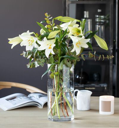 Liljer Longiflorum Liljer Longiflorum